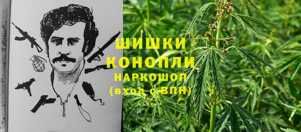тгк Михайлов