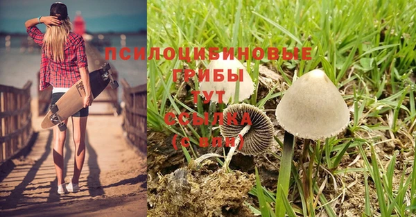 дмт Михайловка